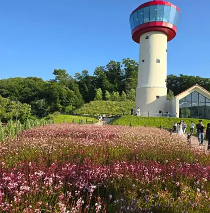 용인자작나무숲