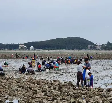 흘곶어촌체험마을