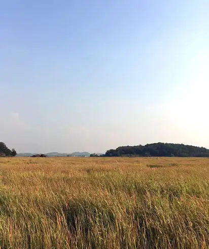 공룡알화석산지