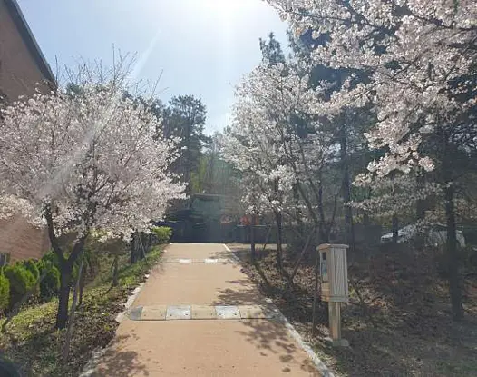 구암동 숲체험공원