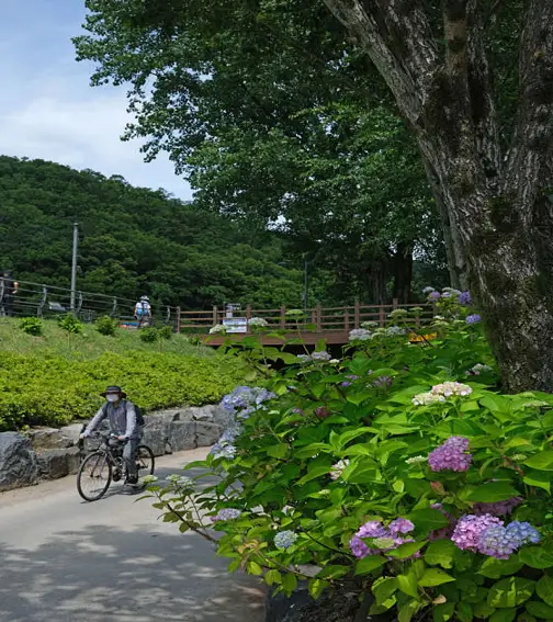 운암지 수변공원