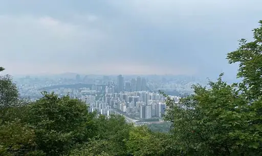 구룡산